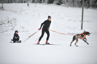 Non-Stop Dogwear Løype Belt Pro